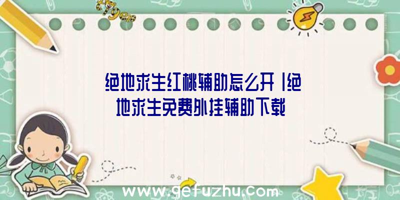 「绝地求生红桃辅助怎么开」|绝地求生免费外挂辅助下载